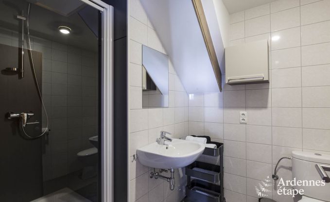 Ferienhaus Waimes 18 Pers. Ardennen Schwimmbad Wellness