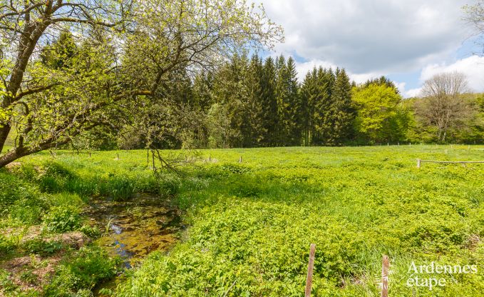Chalet Waimes 4/5 Pers. Ardennen Wellness