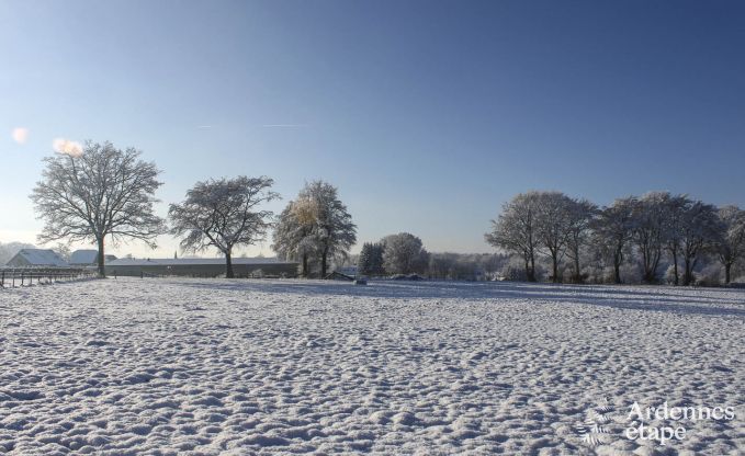 Cottage Waimes 18/20 Pers. Ardennen Wellness