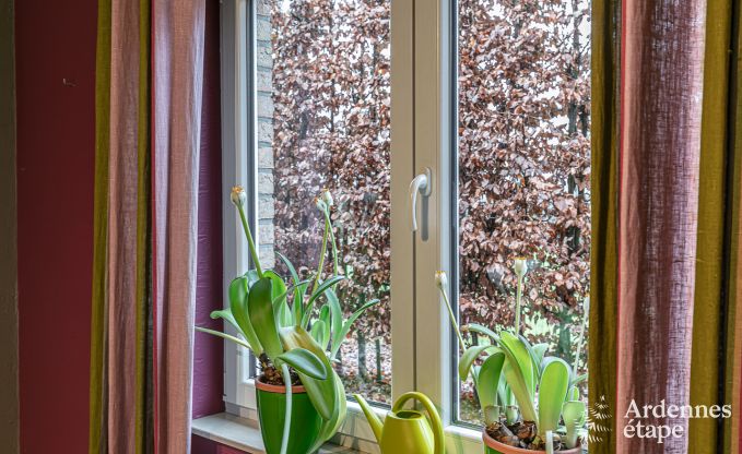 Ferienhaus Waimes 24 Pers. Ardennen Wellness Behinderten gerecht