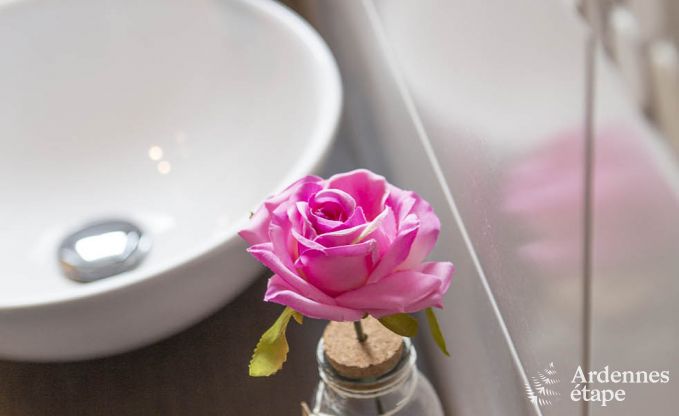 Ferienhaus Waimes 21/23 Pers. Ardennen Wellness