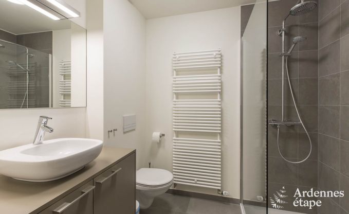 Ferienhaus Waimes 14 Pers. Ardennen Wellness