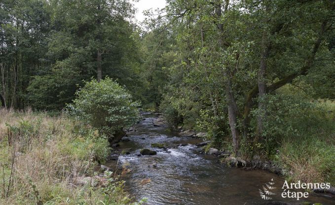 Ferienhaus Waimes 14 Pers. Ardennen Wellness