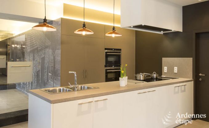 Ferienhaus Waimes 14 Pers. Ardennen Wellness