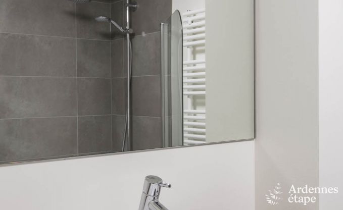 Ferienhaus Waimes 14 Pers. Ardennen Wellness