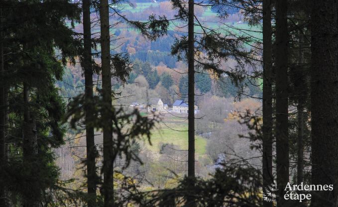 Ferienhaus Waimes 14 Pers. Ardennen Wellness