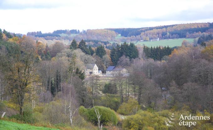 Ferienhaus Waimes 14 Pers. Ardennen Wellness