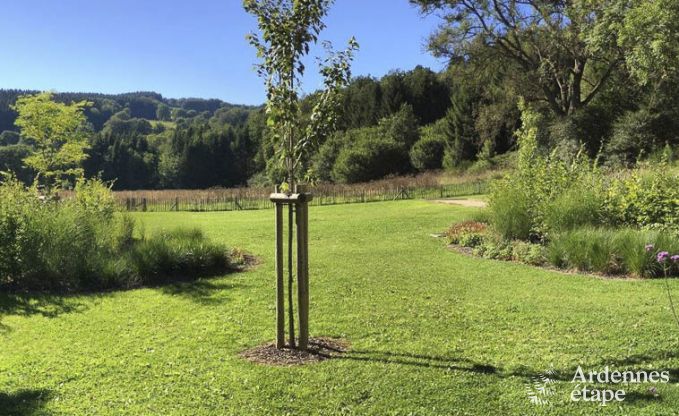 Ferienhaus Waimes 14 Pers. Ardennen Wellness