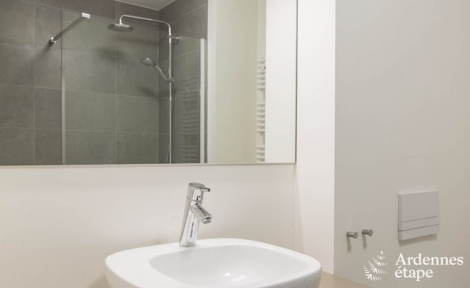 Ferienhaus Waimes 14 Pers. Ardennen Wellness