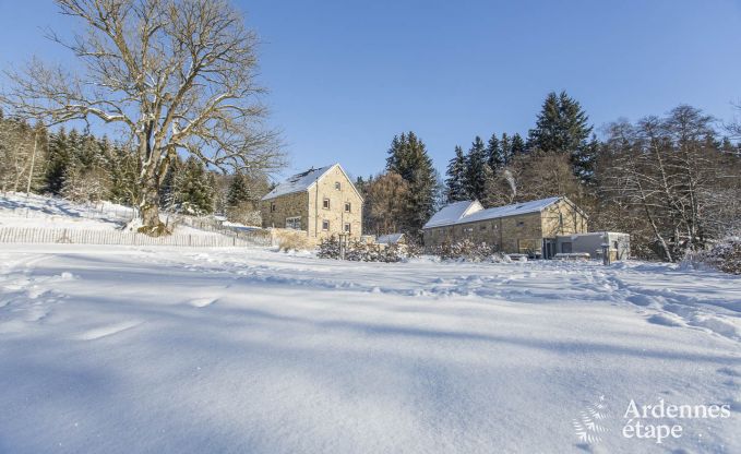 Ferienhaus Waimes 14 Pers. Ardennen Wellness