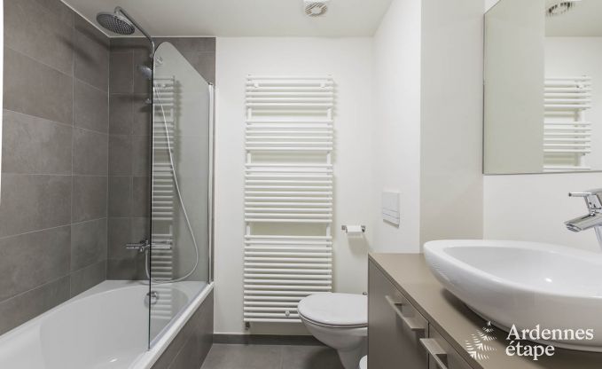 Ferienhaus Waimes 24 Pers. Ardennen Wellness