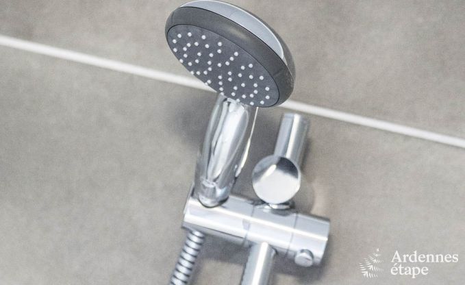 Ferienhaus Waimes 9 Pers. Ardennen Wellness