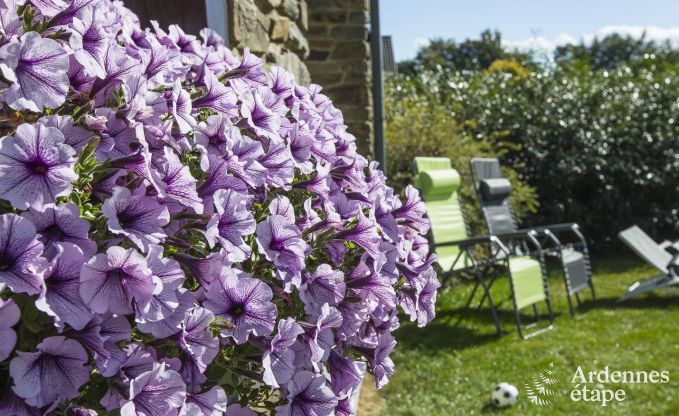 Ferienhaus Waimes 9 Pers. Ardennen Wellness