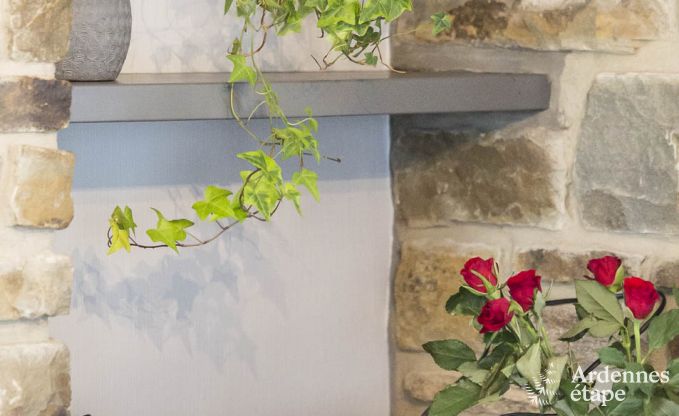 Ferienhaus Waimes 9 Pers. Ardennen Wellness