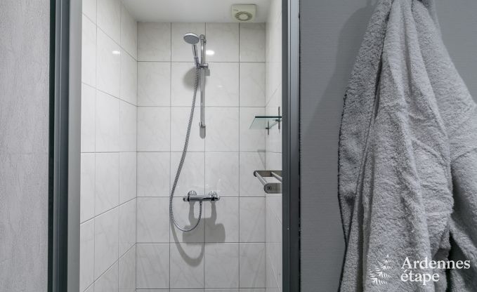 Ferienhaus Waimes 14 Pers. Ardennen Wellness