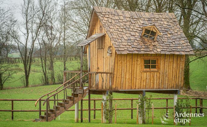 Ferienhaus Waimes 13 Pers. Ardennen Wellness