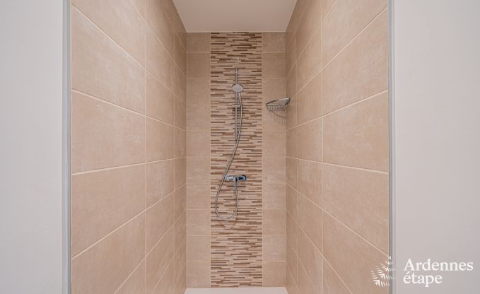 Ferienhaus Waimes 13 Pers. Ardennen Wellness