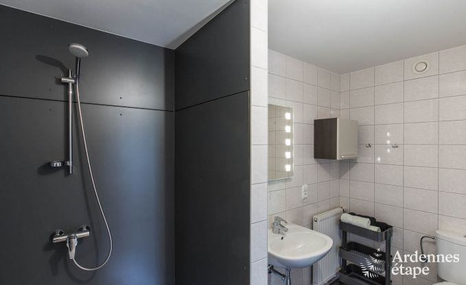 Ferienhaus Waimes 18 Pers. Ardennen Schwimmbad Wellness