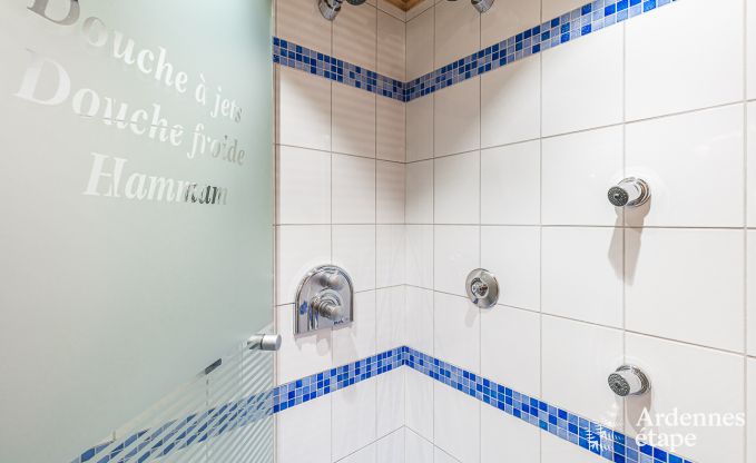 Luxusvilla Waimes 14 Pers. Ardennen Schwimmbad Wellness Behinderten gerecht