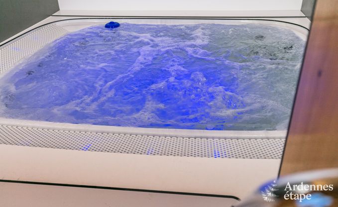 Luxusvilla Waimes 14 Pers. Ardennen Schwimmbad Wellness Behinderten gerecht