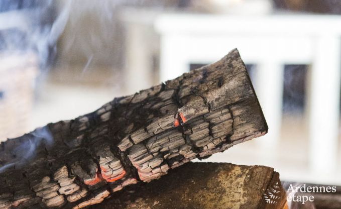 Ger�umiges Ferienhaus mit Privatgarten in Waimes f�r 15 Personen