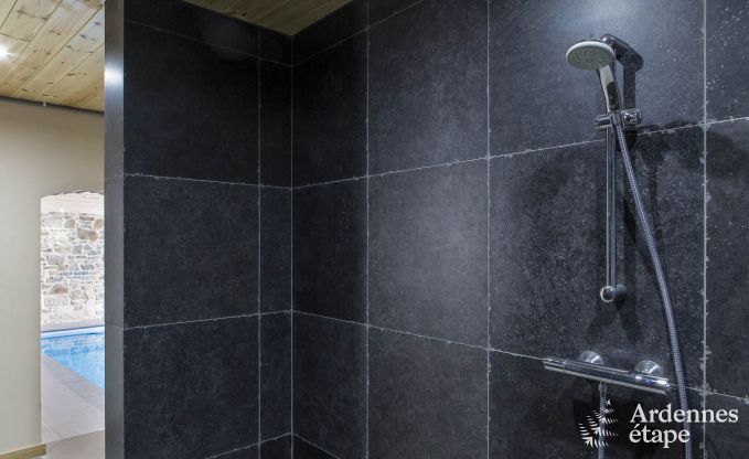 Luxusvilla Waimes 19 Pers. Ardennen Schwimmbad Wellness