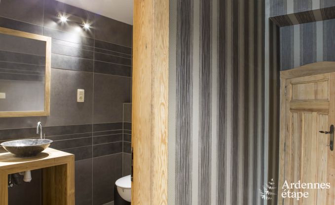 Luxusvilla Waimes 19 Pers. Ardennen Schwimmbad Wellness