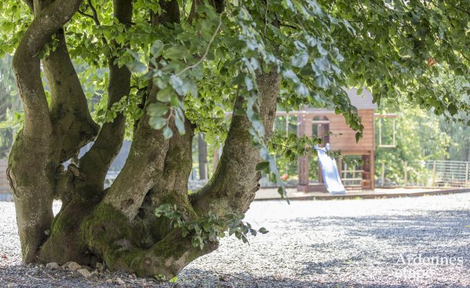 Luxusvilla Waimes 19 Pers. Ardennen Schwimmbad Wellness