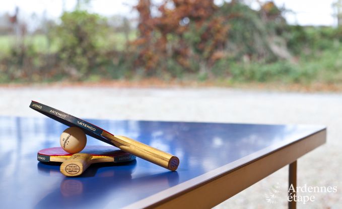 Luxusvilla Waimes 16 Pers. Ardennen Schwimmbad Wellness