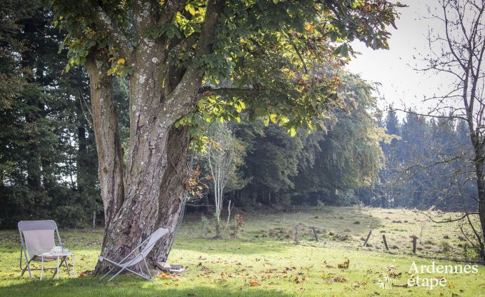 Luxusvilla Waimes 16 Pers. Ardennen Schwimmbad Wellness