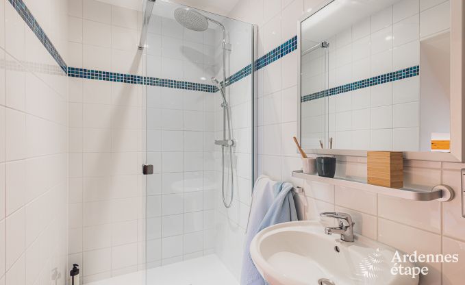 Luxusvilla Waimes 16 Pers. Ardennen Schwimmbad Wellness