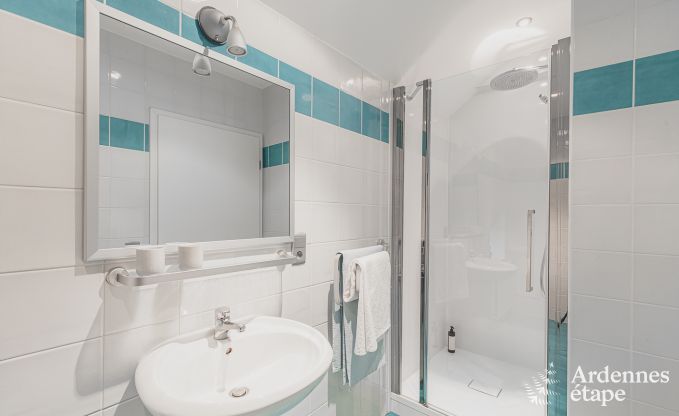 Luxusvilla Waimes 9 Pers. Ardennen Schwimmbad Wellness