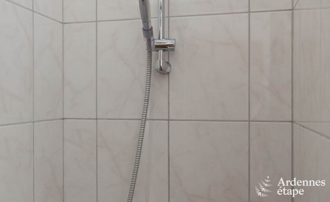 Luxusvilla Waimes 20 Pers. Ardennen Schwimmbad Wellness