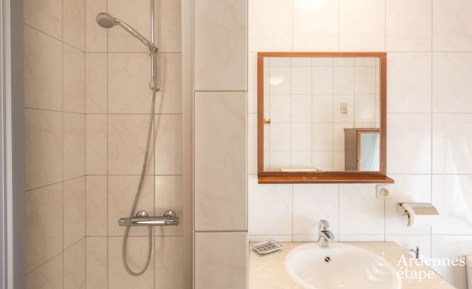 Luxusvilla Waimes 20 Pers. Ardennen Schwimmbad Wellness