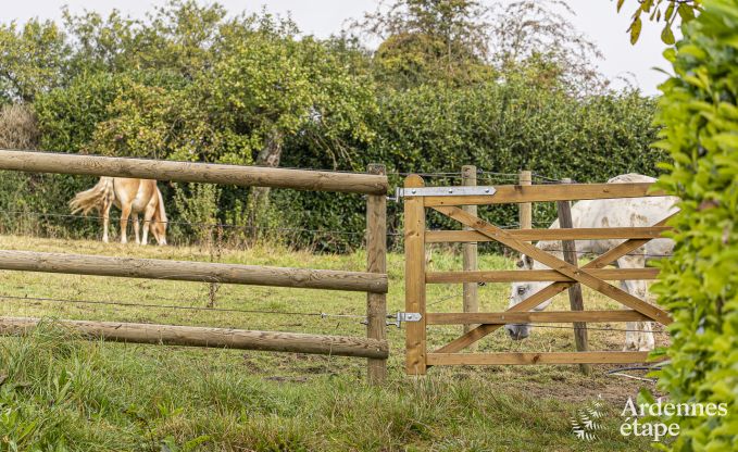Ferienhaus in Walcourt, Ardennen, 6 Personen, 3 Schlafzimmer, Au�enpool, Gemeinschaftsgarten, moderne Ausstattung