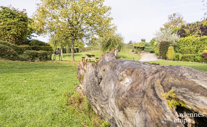 Ferienhaus in Walcourt, Ardennen, 6 Personen, 3 Schlafzimmer, Au�enpool, Gemeinschaftsgarten, moderne Ausstattung