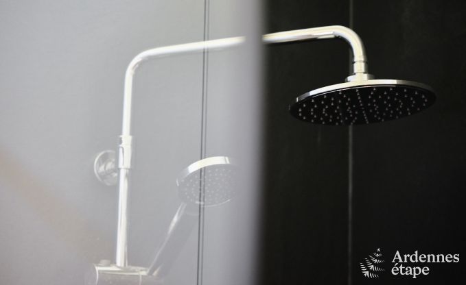 Herrliches Ferienhaus in Wanze, Ardennen