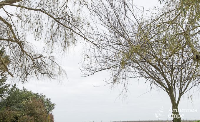 au�ergew�hnliche Ferienwohnung Waremme 4 Pers. Ardennen