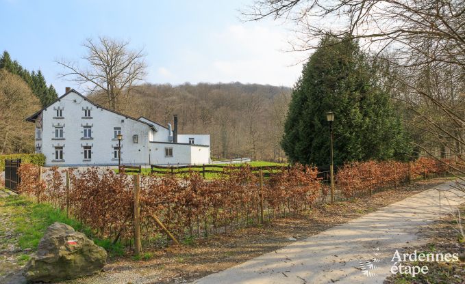 Ferienhaus Wellin 26 Pers. Ardennen Wellness