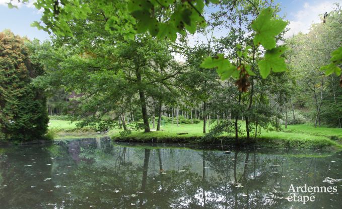 Ferienhaus Wellin 26 Pers. Ardennen Wellness