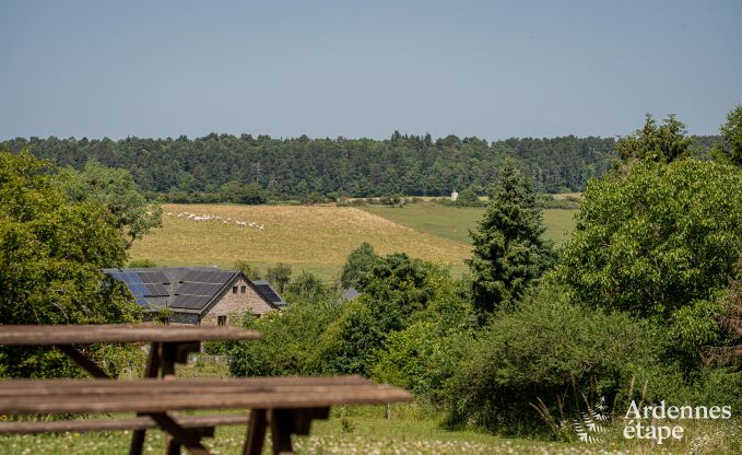 Ferienhaus Wellin 14 Pers. Ardennen