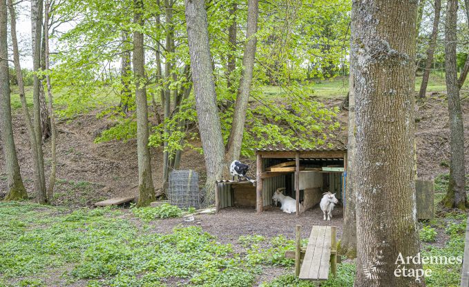 Herrenhaus Wellin 14 Pers. Ardennen