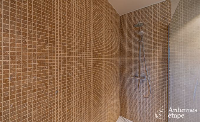 Ferienhaus Wellin 8 Pers. Ardennen Behinderten gerecht