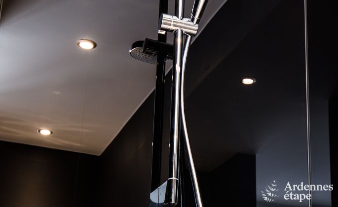 Ferienhaus Wellin 18 Pers. Ardennen Schwimmbad Wellness