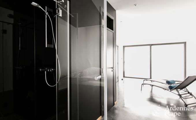 Ferienhaus Wellin 18 Pers. Ardennen Schwimmbad Wellness