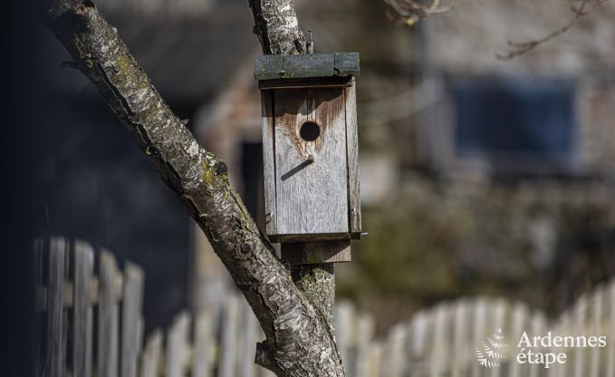 Ferienhaus Wellin 9 Pers. Ardennen