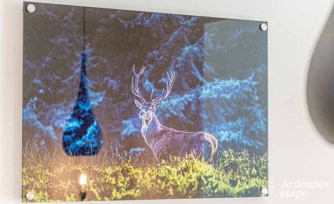 Ferienhaus Wellin 10 Pers. Ardennen