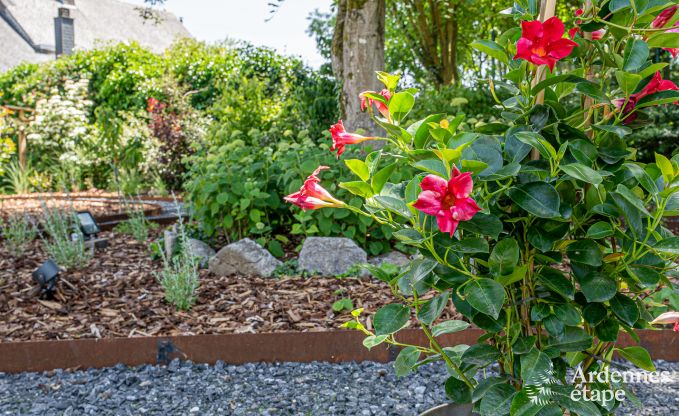 Ferienhaus Wellin 10 Pers. Ardennen