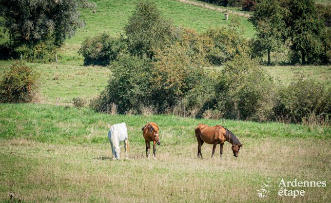 Ferienhaus Wellin 8 Pers. Ardennen Behinderten gerecht