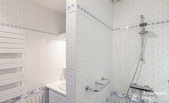 Ferienhaus Wellin 9 Pers. Ardennen Schwimmbad Wellness